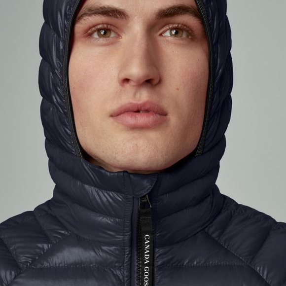 Cansa goose - Picture 3 of 16